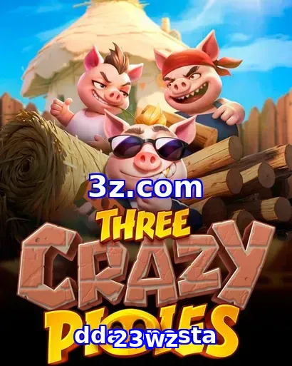 23wz bet